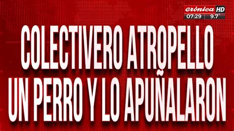 Colectivero Atropell A Un Perro Y Lo Apu Alaron Con Un Destornillador