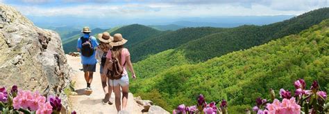 Asheville Travel Inspiration Guides Articles Viator