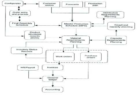 General Structure Of Erp System Source Helo And Szekely 2005 Erp Download Scientific