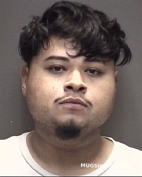 Ventura Armando Humberto Galveston County Mugshots Zone