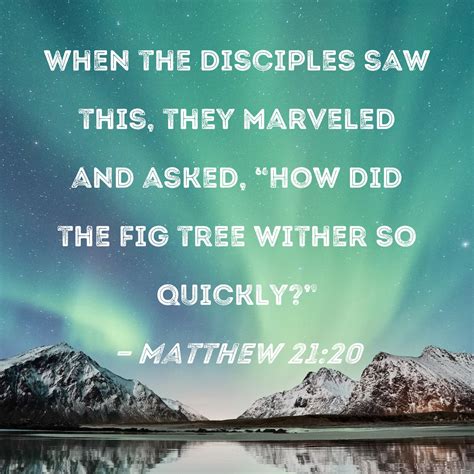 Matthew 21:20 When the disciples saw this, they marveled and asked