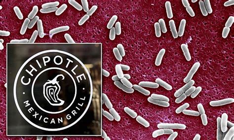 Chipotle sales fall by nearly 25-percent after recent E.coli outbreak ...