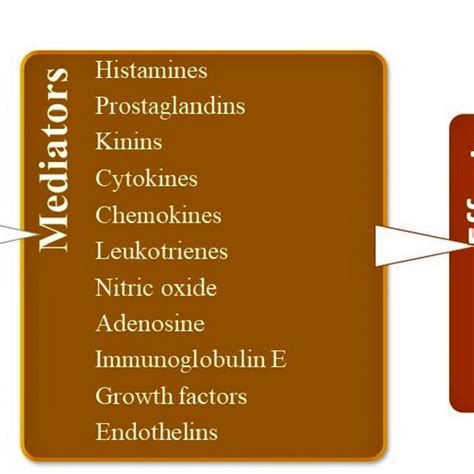 Inflammatory and structural cells involved in Asthma inflammation ...