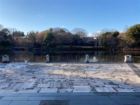 宇都宮市睦町にオアシス発見！お散歩にもおすすめな「栃木県中央公園」 東海住宅タウンガイド