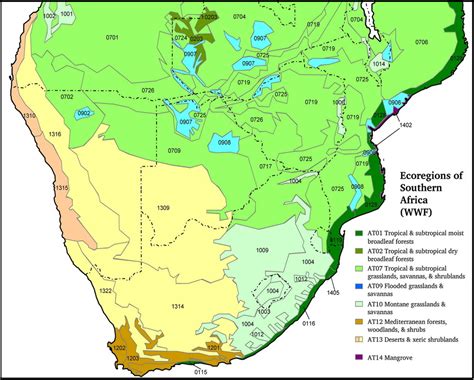 Africa Rainforest Map