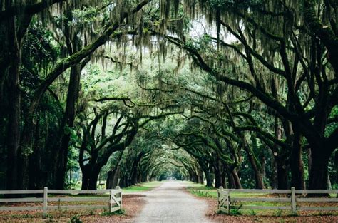 The perfect long weekend in Savannah - Samantha Brown's Places to Love