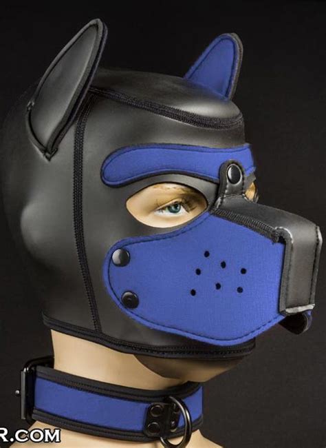 Mr S Neoprene Puppy Collar Royal Blue Underground Fetish