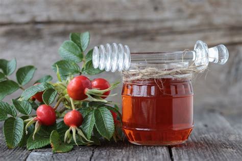 Шиповник на зиму – 10 вкусных рецептов с фото, простые рецепты ...