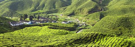 Cameron Highlands Holidays Malaysia 20192020 Tropical Sky