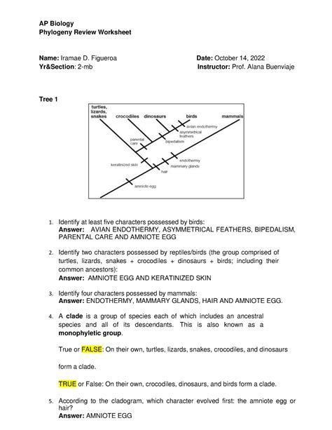 Phylogeny Review Worksheet Prntbl Concejomunicipaldechinu Gov Co