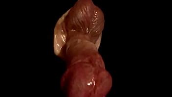 SILICONE CIRCUMCISED DILDO SEX TOY TEST XVIDEOS