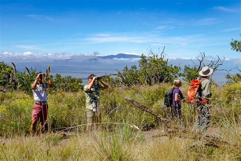 The Hawaiʻi Forest & Trail ʻIʻiwi Fund - Hawaii Forest & Trail