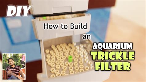 How To Build An Aquarium Trickle Filter Diy Youtube