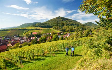 Wandelen In De Pfalz Ervaar Natuurschoon En Ontspan