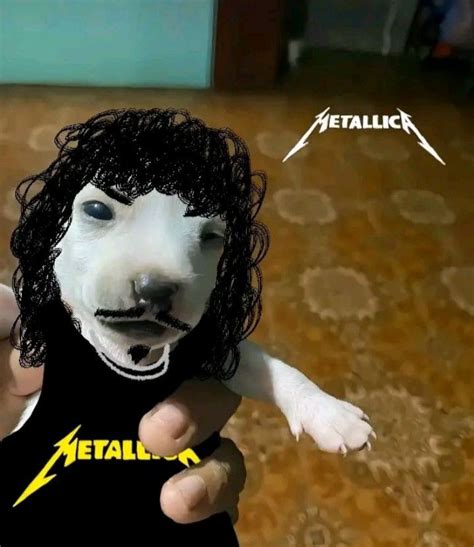 Pin By Gigiiiiii On Yes Metallica Funny Metallica Meme Kirk