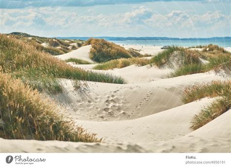 Dünen Am Strand Von Saltum In Dänemark Ein Lizenzfreies Stock Foto