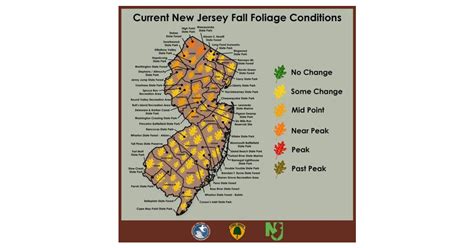 Nj Fall Foliage Show Near Peak In Sussex Colorful Leaves Take