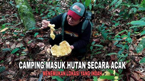 Camping Berpetualang Dihutan Masuk Hutan Secara Acak Menemukan