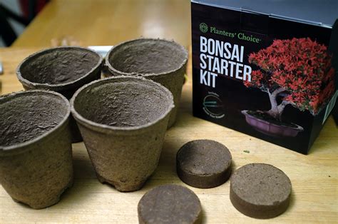 Planters Choice Bonsai Starter Kit Firstlook Rainydaymagazine