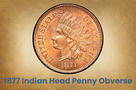 Indian Head Penny Coin Value How Much Is It Worth Coinvaluelookup