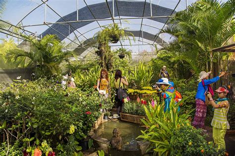 Bai Orchid And Butterfly Farm Garden And Jewellery Chiang Mai Thailand