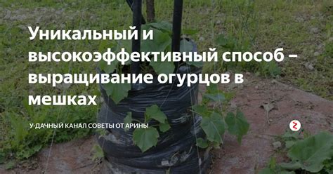 У вас не хватает места на участке, или вы столкнулись с такой проблемой ...