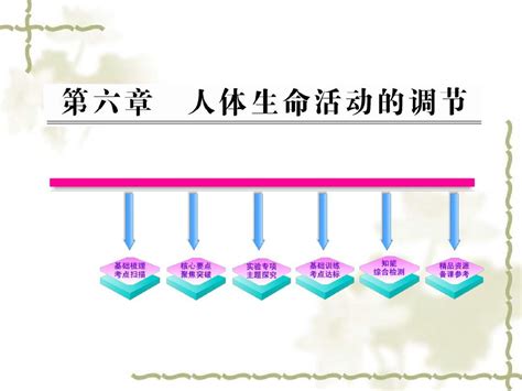 第四单元第六章人体生命活动的调节复习课件word文档在线阅读与下载无忧文档