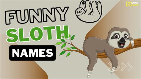 470+ Funny Sloth Names [Clever Ideas] - Names Crunch