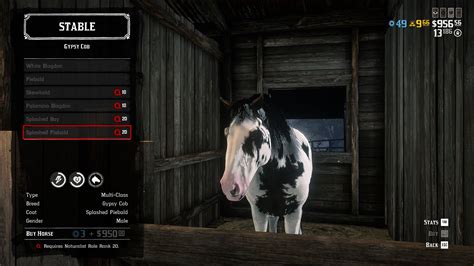 Red Dead Online Gypsy Cob Horse: How to unlock and use the new ...