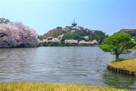 Yokohama