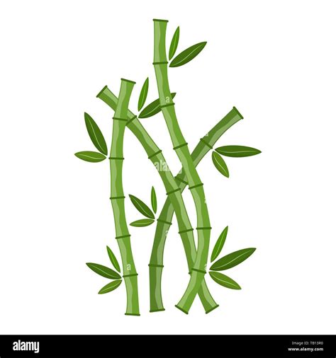 Green Bamboo Branches And Leaves Vector Illustration Bamboo Stems