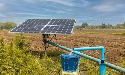 Empowering Agriculture The Impact Of Solar Water Pumps On Irrigation