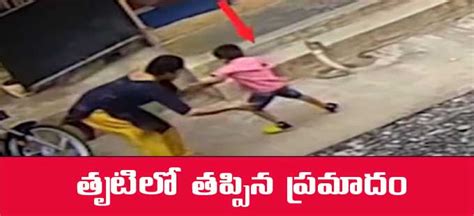 Viral Video పాము కాటు నుంచి చిన్నారిని కాపాడిన తల్లి Mother Saves