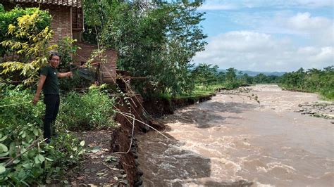 Pasca Luapan Sungai Pancarglagas Puluhan Hektar Sawah Terendam