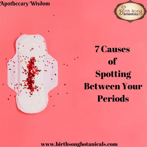 7 Causes of Spotting Between Your Periods – Birth Song Botanicals Co.