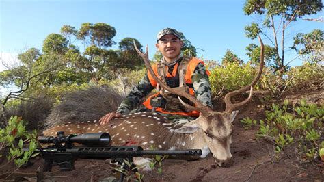 Up Mauka Lanai Hawaii Rifle Hunt 2020 Axis Deer Hunt Youtube