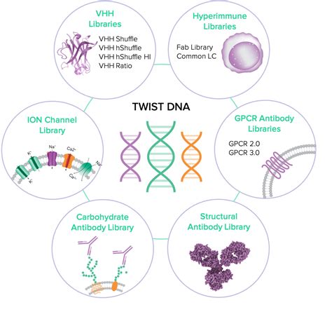 The Library Of Libraries A Next Generation Approach To Discover New Antibody Medicines Twist