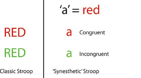 Examples Of Congruency In The Classic Stroop Task And The Synesthetic Download Scientific