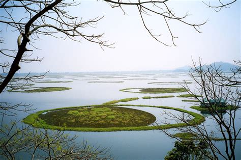 Ramsar Wetland Sites