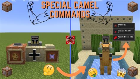 Command Block Tutorial 232 Special Camel Commands In Minecraft 120