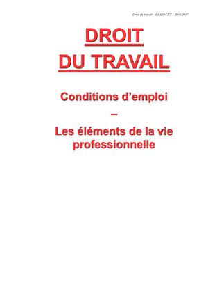 TD droit du travail L3 S1 Exercice Dissertation La hiérarchie des