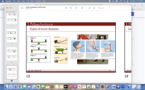 Kin Applications Quizlet Learning Objectives Flashcards Quizlet