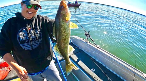 HOT WALLEYE Bite On Lake Sakakawea YouTube