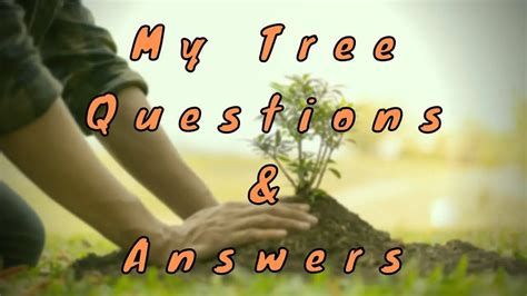 My Tree Questions & Answers - WittyChimp