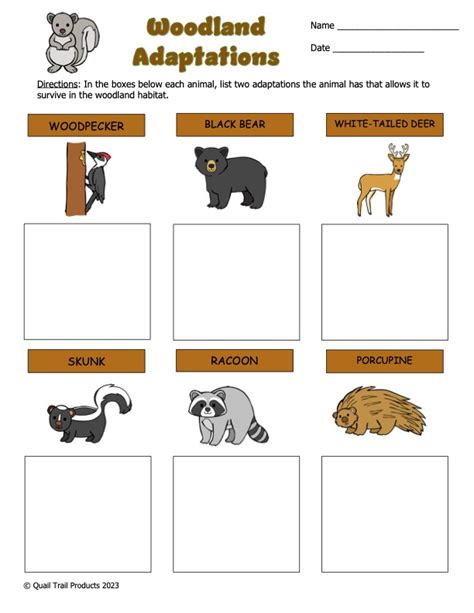 Animal Adaptations in the Woodland Habitat Activities and Worksheets ...