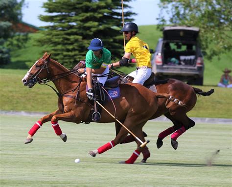 Calgary Polo Club Equine Polo Calgary