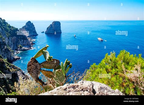 Faraglioni Rocks Viewed From Augustus Gardens On The Island Of Capri