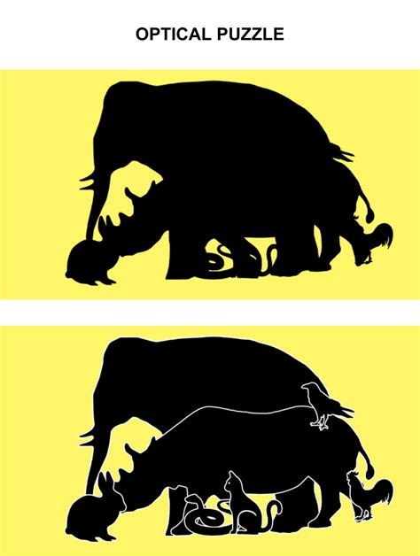 Rhinos can run faster than you think — Rhino Resource Center