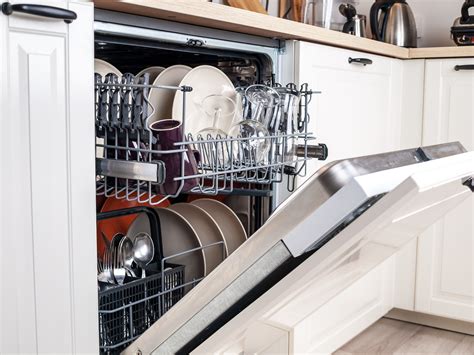 Woman Shocks Viewers With Dishwasher Hack In Viral Video Newsweek