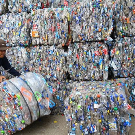 Compra Y Venta De Botellas Descartables Multiservicios Precisur